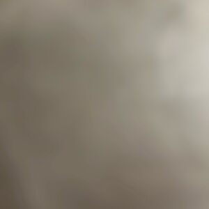 Meet your Posher, Lakers Fan